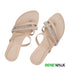 Latest Beige Color Flat Renewalk 2384